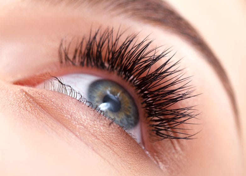 extreme close up of woman's eye showing very long and thick eyelashes